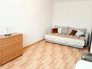 Ekonom V Tsentre Petergofa Flat