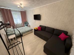 1-Komnatnaya V Tsentre Goroda Flat