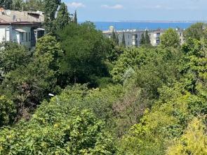 Uyutnaya Svetlaya S Vidom Na Vladimirskiy Sobor I More Flat