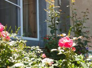 Vladislava Guest house