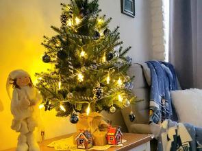 Uyutnaya V Skandinavskom Stile V Samom Tsentre Goroda Flat