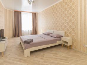 Chkalova53/3 29 Flat