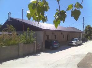 Orkhidea Guest House