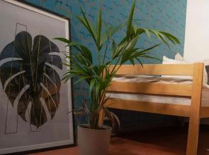 LaOla Living - Hostel