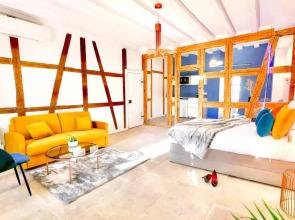 LIFE Renaissance Strasbourg New Concept