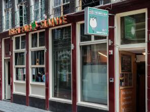 The White Tulip Hostel