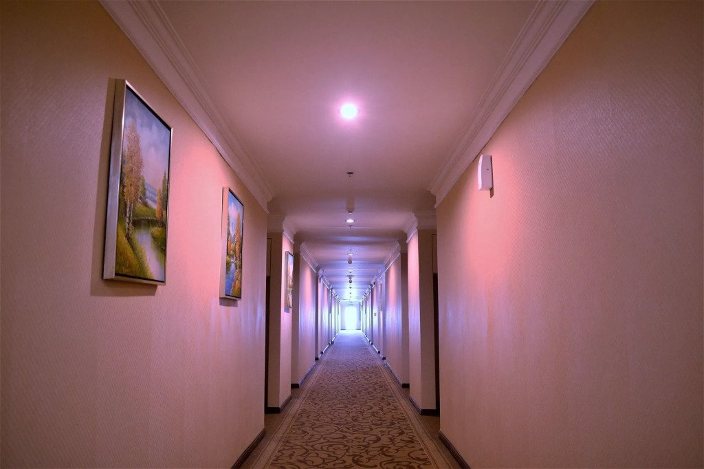 Hotel photo 11