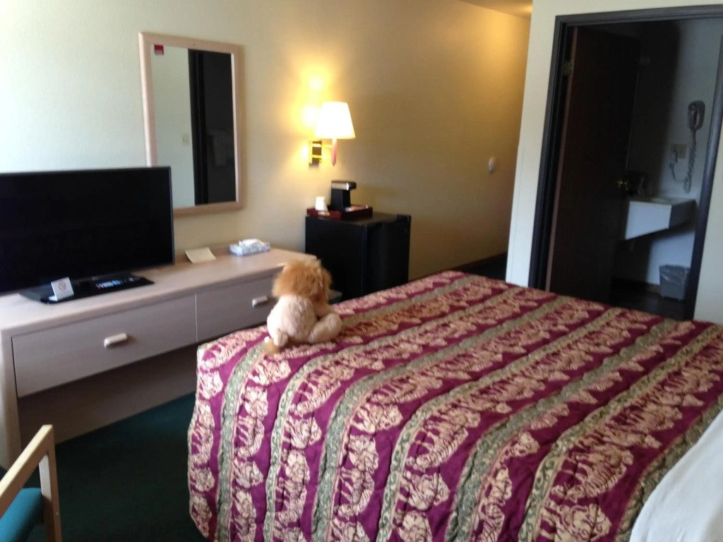 Hotel photo 6