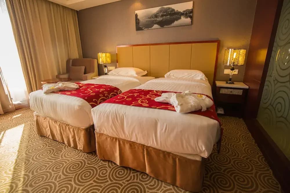 Standard Double room with balcony twin beds