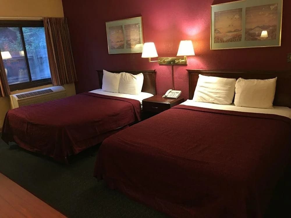 Hotel photo 7