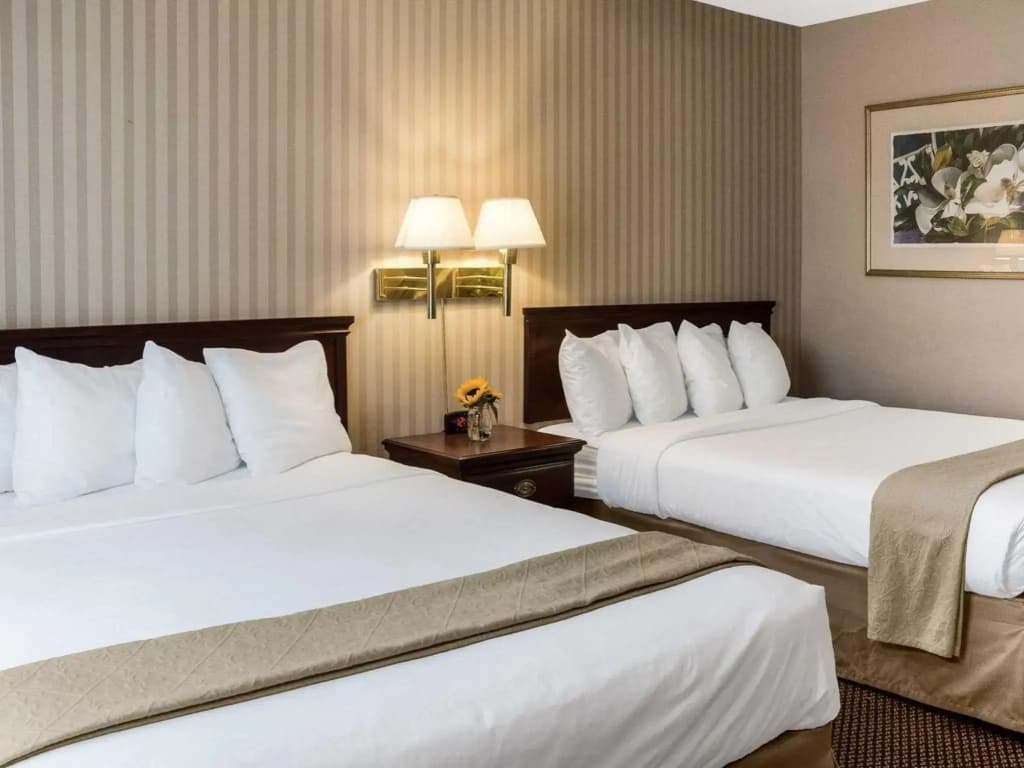 Standard Double room full double bed