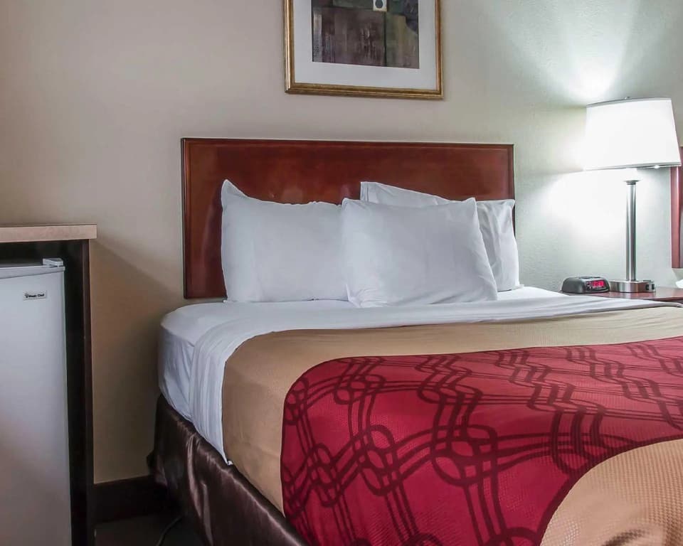 Standard Double room full double bed