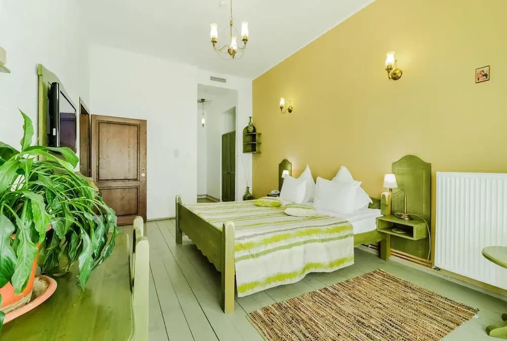 Standard Double room with balcony and with mountain view full double bed