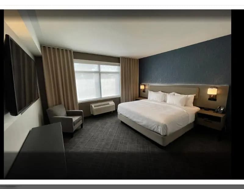 Triple Suite