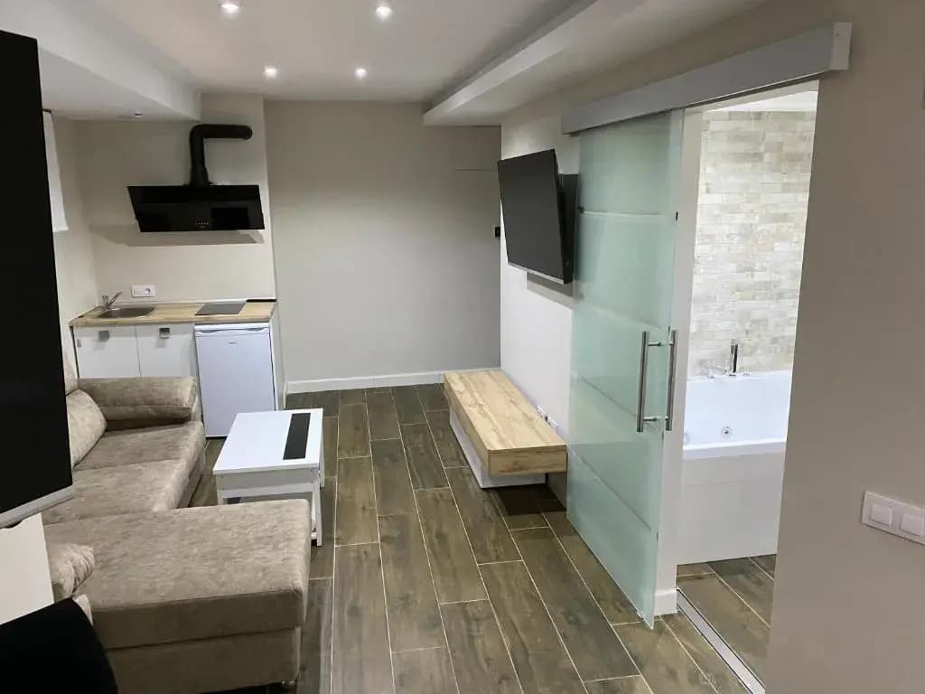 Deluxe Apartment