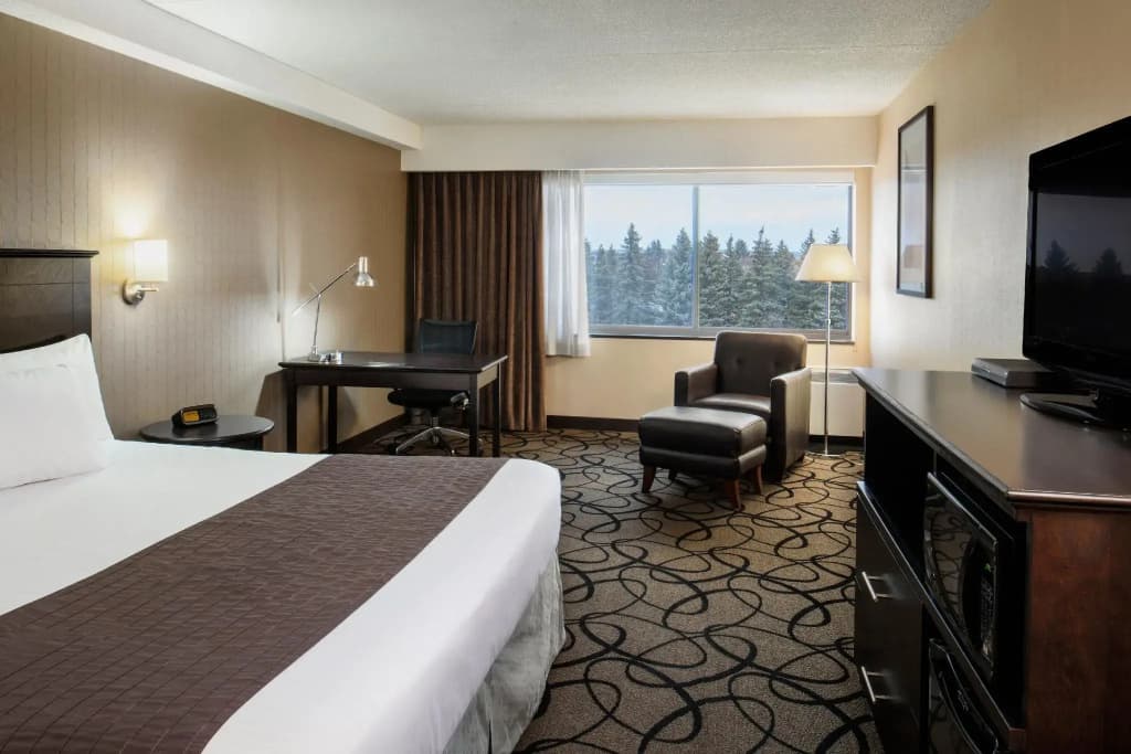 Business Double room full double bed