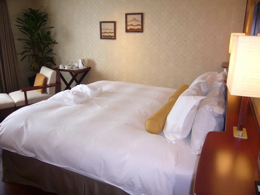 Executive Double room full double bed