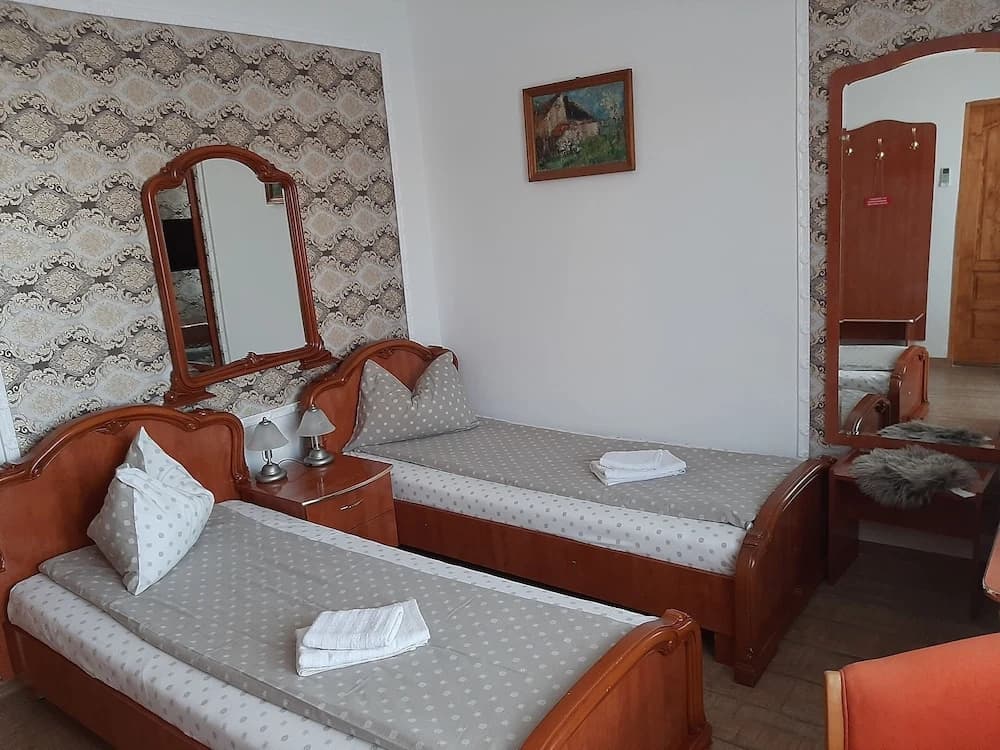 Comfort Double room with city view twin beds