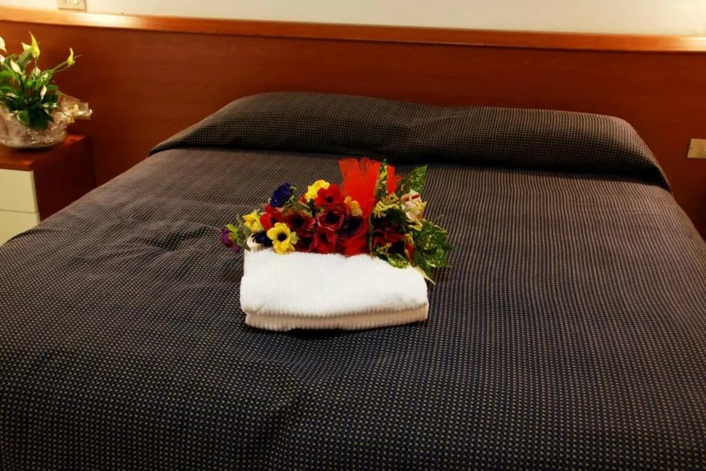 Standard Double room full double bed