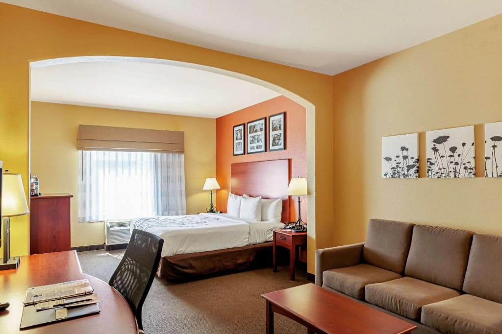 1 Bedroom Suite
