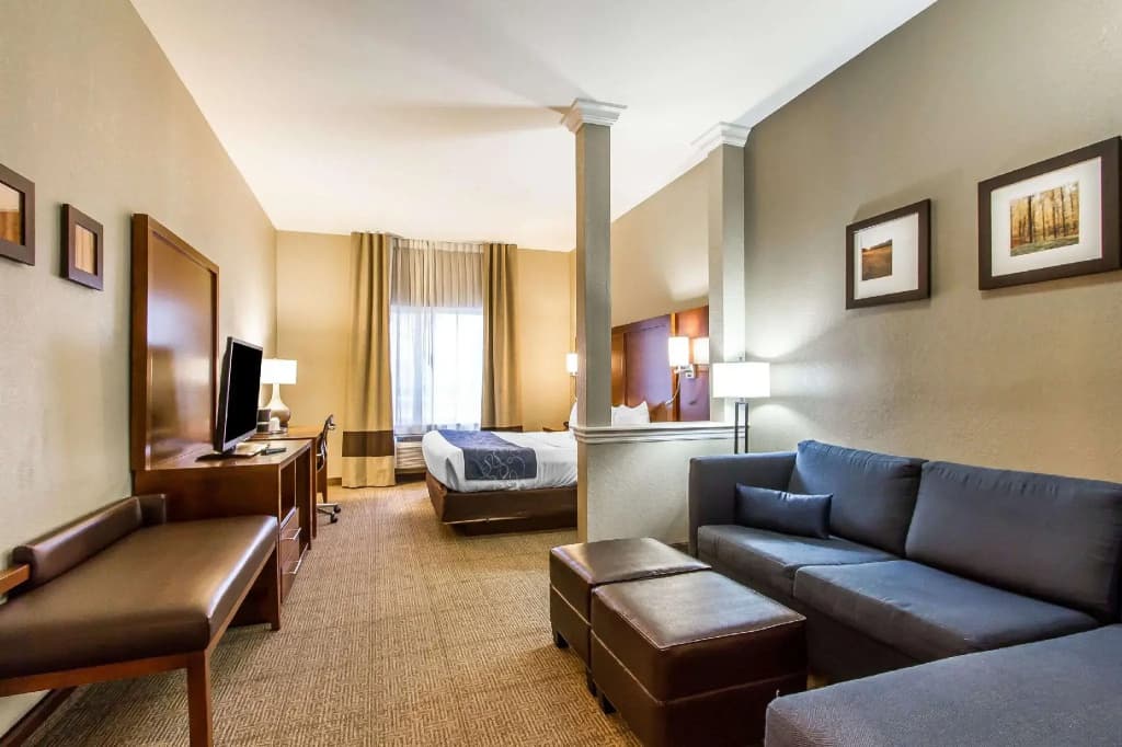 1 Bedroom Suite