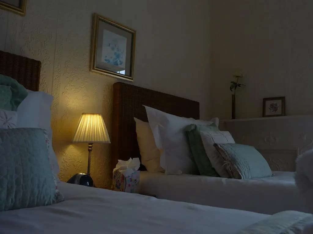 Standard Double room twin beds