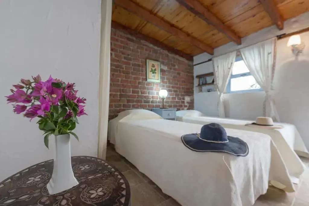 Standard Double room with garden view full double bed