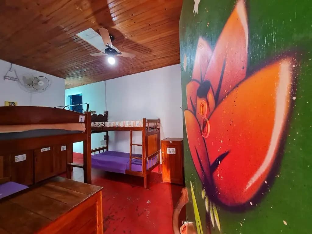 Bed in Dorm (female dorm)