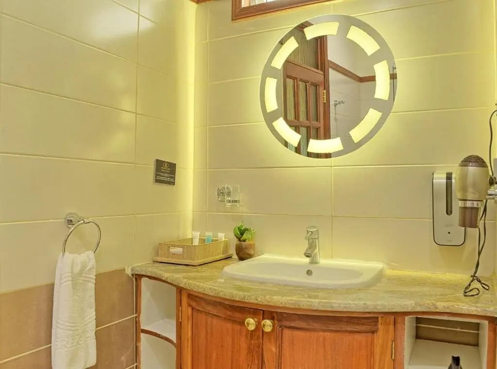 Standard room with lake view