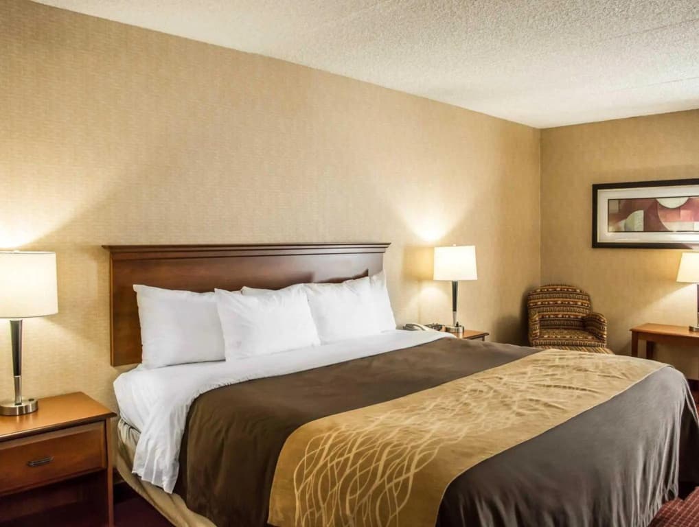 1 Bedroom Standard room