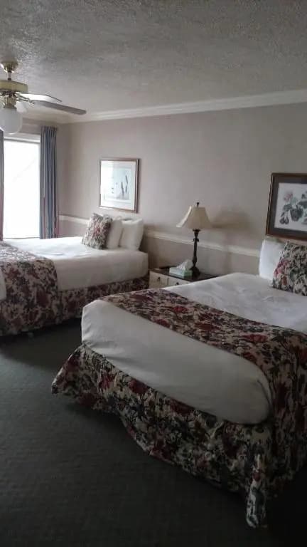 Standard Double room with pool view full double bed