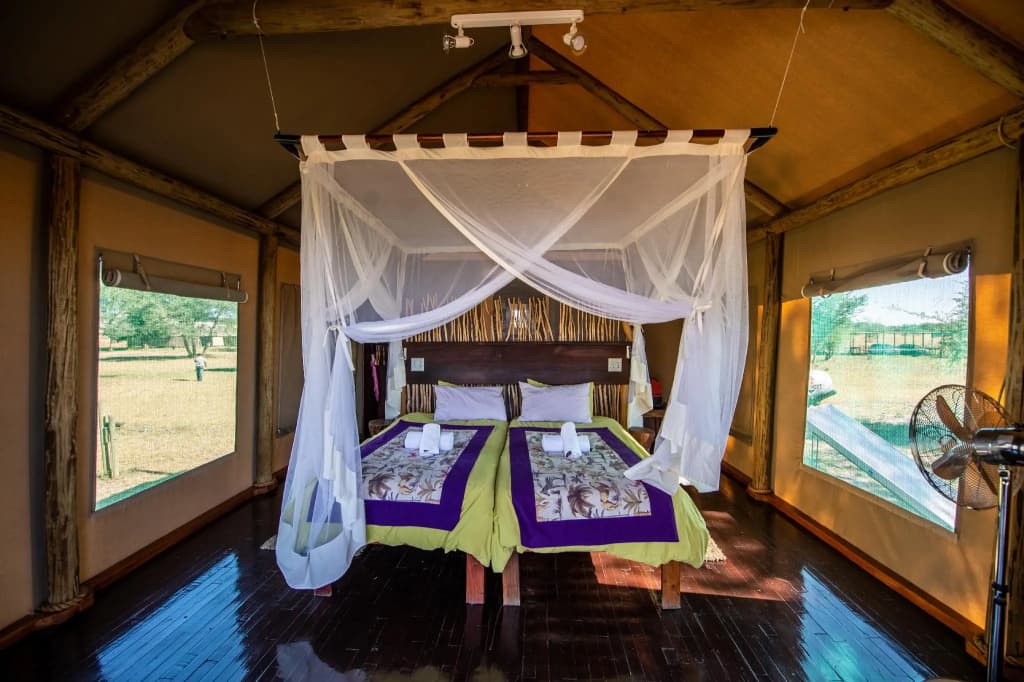 Standard Double room twin beds