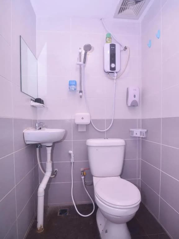 Standard Suite