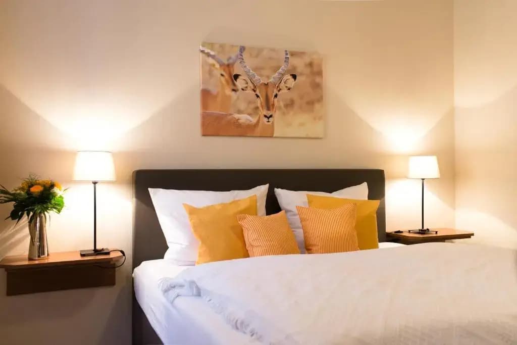 Standard Double room full double bed