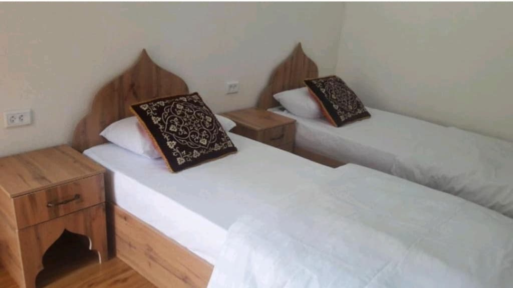 Standard Double room with balcony twin beds