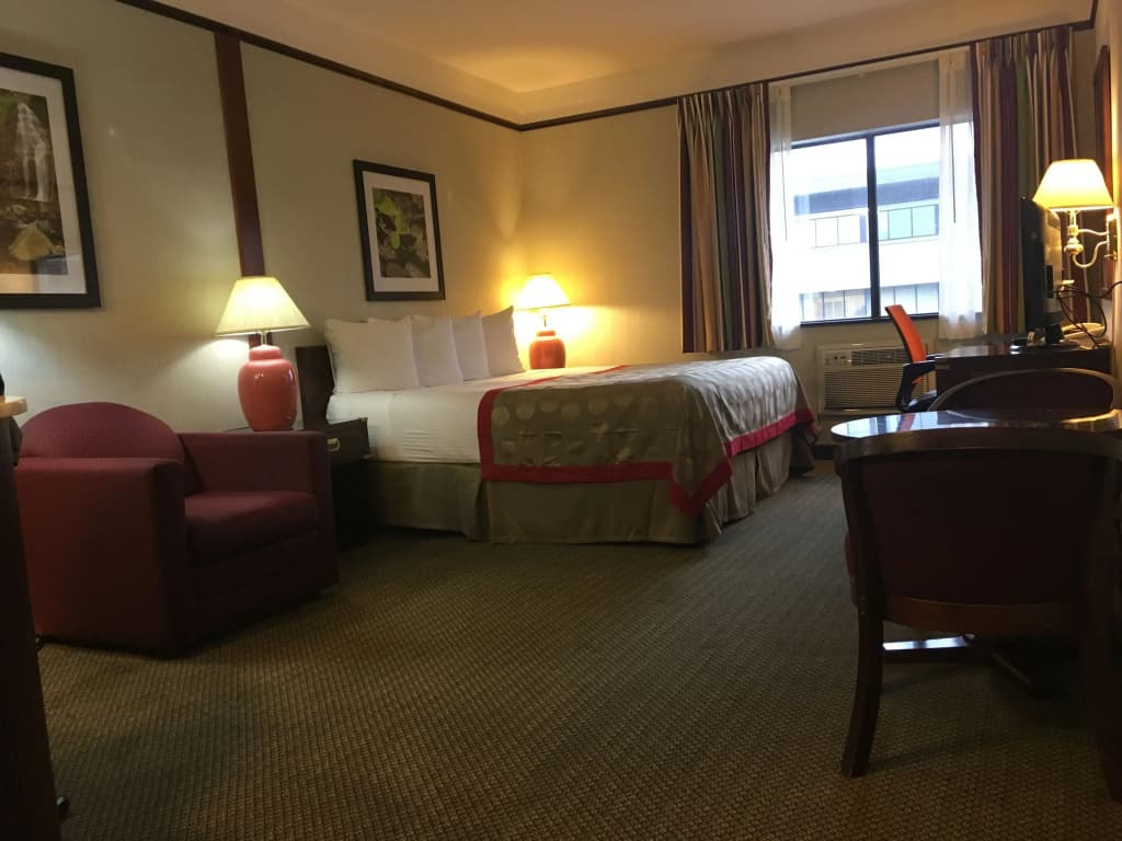 Standard Double room full double bed
