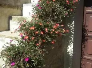 Fra Bosco e Cielo B&B