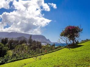 Hanalei Bay Resort 8133/4