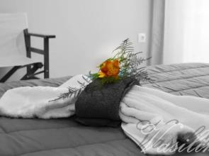 Anastasia apartment 2