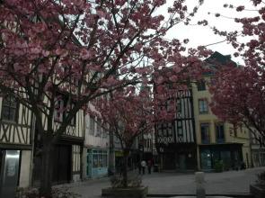 Rouen Quartier St Maclou