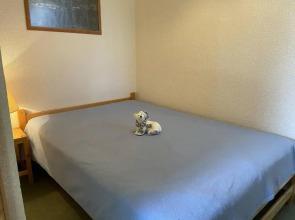 Appartement Puy-Saint-Vincent, 2 pièces, 4 personnes - FR-1-330G-36