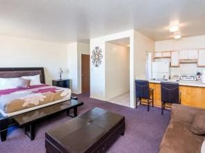 American Regency Suites