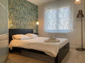 Appartement 2P Strasbourg centre - Homme de fer