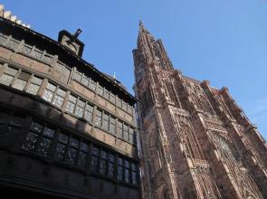 Appartement Cocoon Hypercentre