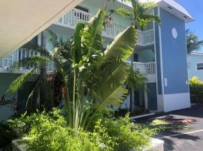 Dolphin Cove - Adults Only