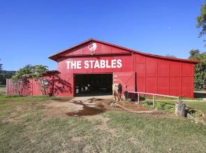 Turtle Bay Primrose***ta-016722124801 1 Bedroom Condo by RedAwning