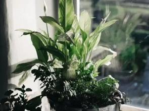 Saddleworth Holiday Cottages