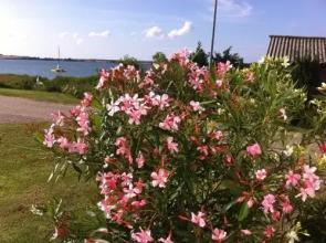 4 _ Sterne Ferienhaus Am Brink