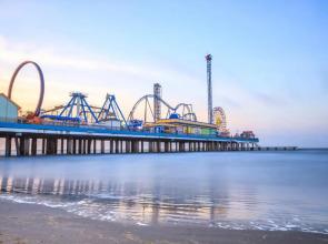 The Turquoise Turtle