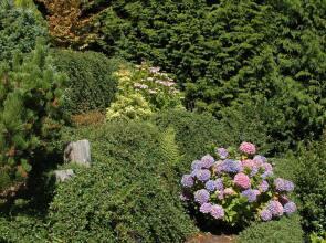 At The Shore Bed and Breakfast